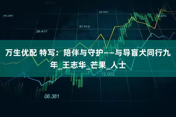 万生优配 特写：陪伴与守护——与导盲犬同行九年_王志华_芒果_人士
