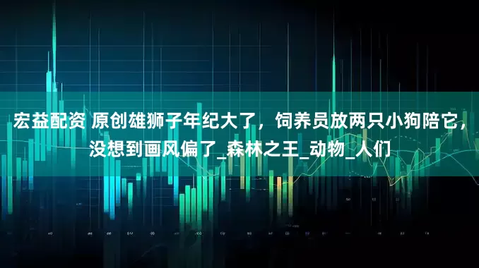 宏益配资 原创雄狮子年纪大了，饲养员放两只小狗陪它，没想到画风偏了_森林之王_动物_人们