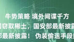 牛势策略 境外间谍千方百计从我国窃取稀土，国安部最新披露！ 伪装偷运手段频出