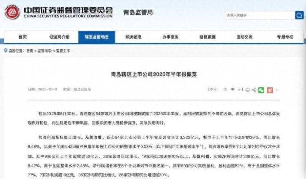 大鑫优配资讯 3323亿营收、1065亿海外收入！青岛上市公司的进击之路